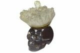 Polished Agate Skull with Quartz Crown #149539-1